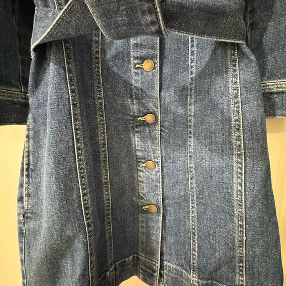 Retrofete Blue Denim Dress - Picture 6 of 8